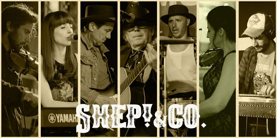 Shep!&Co country music band